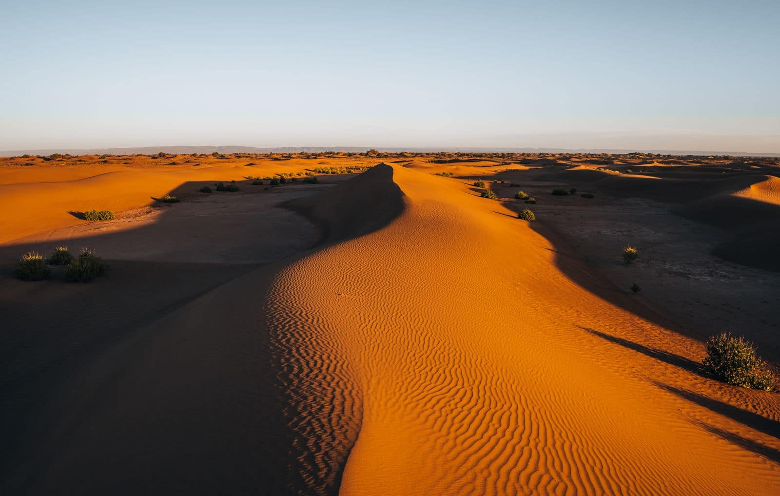 Desert Sunset Safari in El Gouna