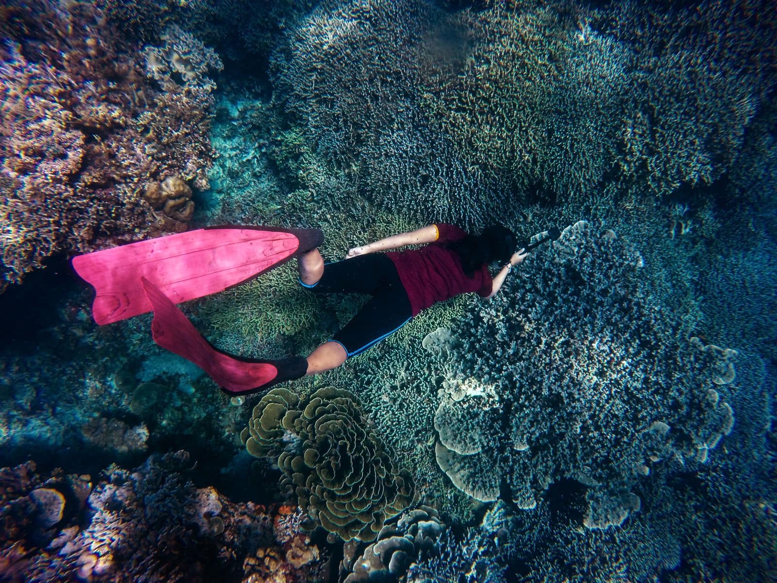 Snorkelling Day Trip in El Gouna